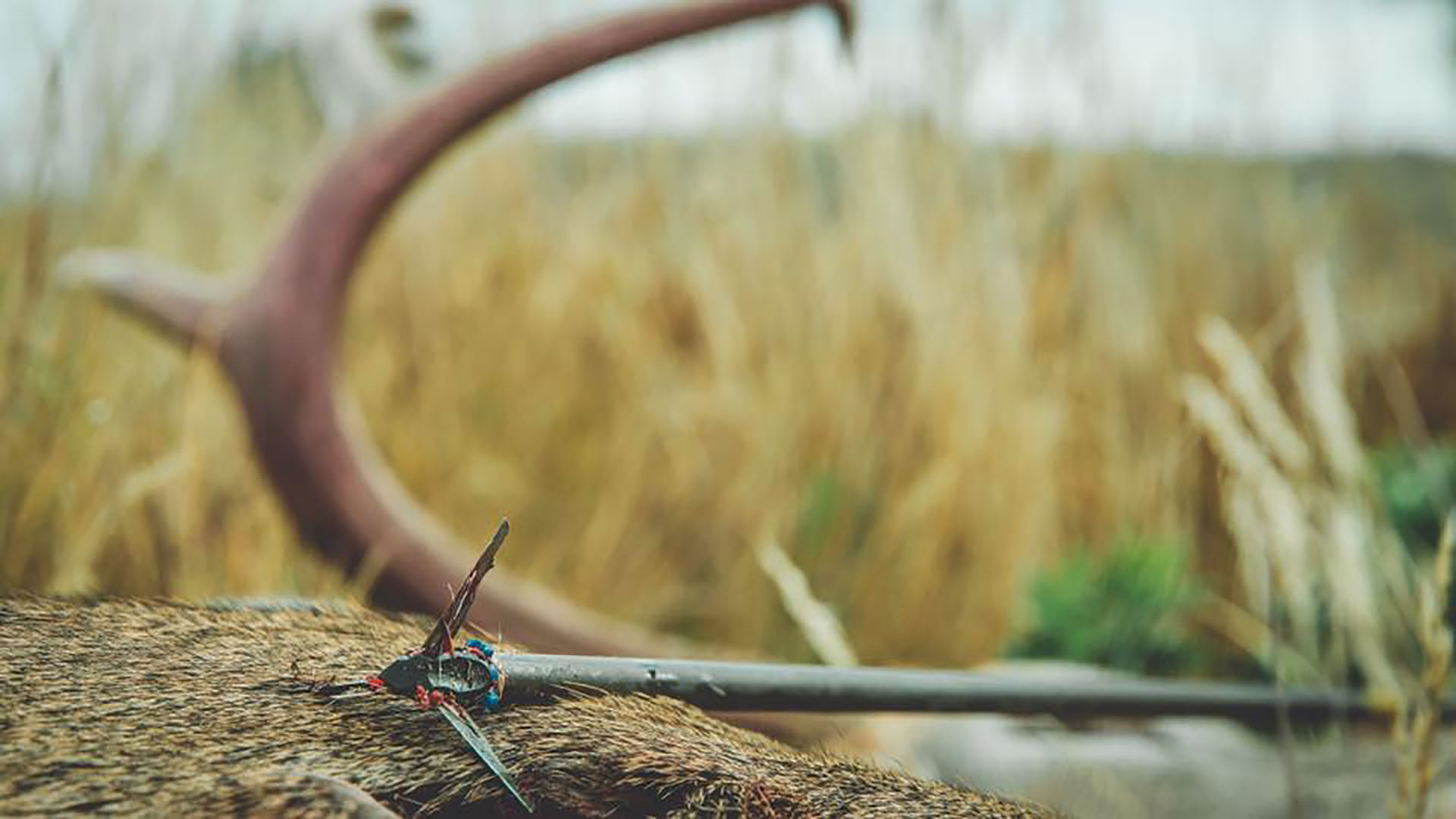 BoneCollectorBowSeason Michael Waddell